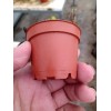 Matec Paquete 300 Macetas De 2 Pulgadas En Color Terracota