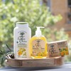 Le Petit Olivier Shower Cream - Verbena Lemon - Gently