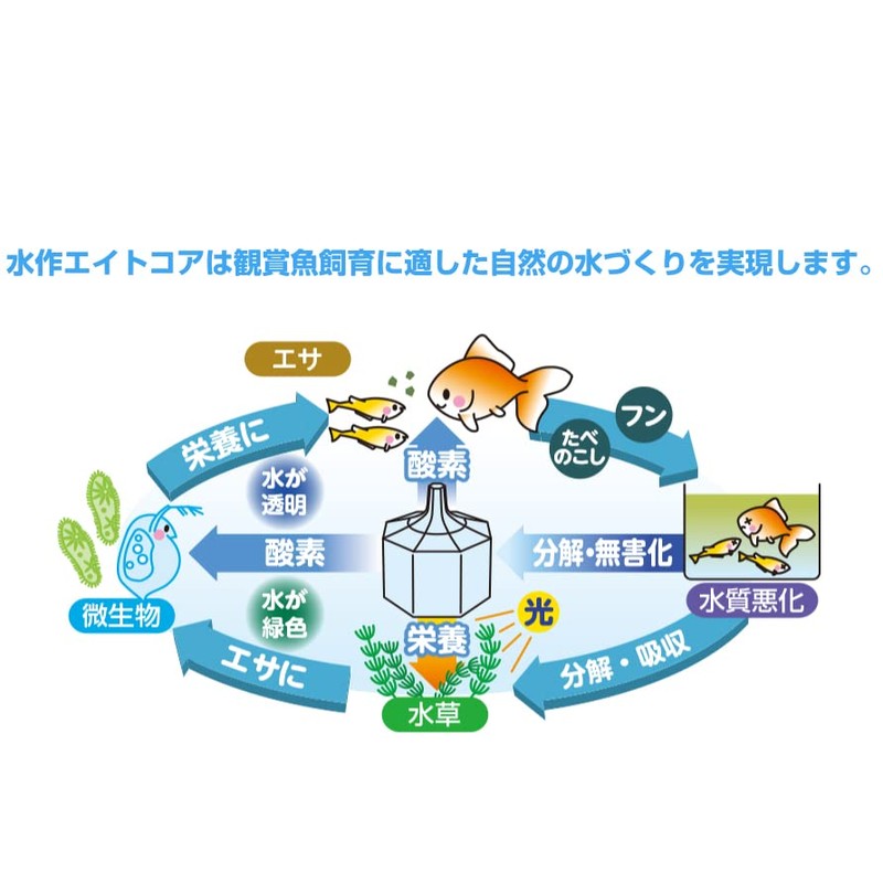 Suisaku Eight Core Small Size