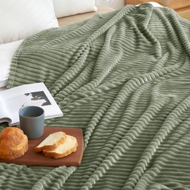MIULEE Sage Throw Blanket 3D Ribbed Jacquard Fleece Flannel Velvet Plush Decorative Bed Blanket (Throw, 50" x 60") - Super Soft, Lightweight, Warm and Cozy for Couch Sofa