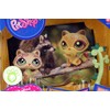 Littlest Pet Shop Series 4 Postcard Pets Raccoon