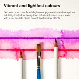 Winsor & Newton Precision Pencils Graphic Sketching Pencils Assorted in Metal Box 24 lebendige Farben Aquarell - Künstlerfarbstifte im Set