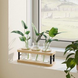 THYGIFTREE Plant Propagation Station with Wooden Stand, Propagation Vases Glass Planters for Indoor Plants Hydroponic Propagating Jars Home Office Decor, Plant Lover Gifts Mothers Day