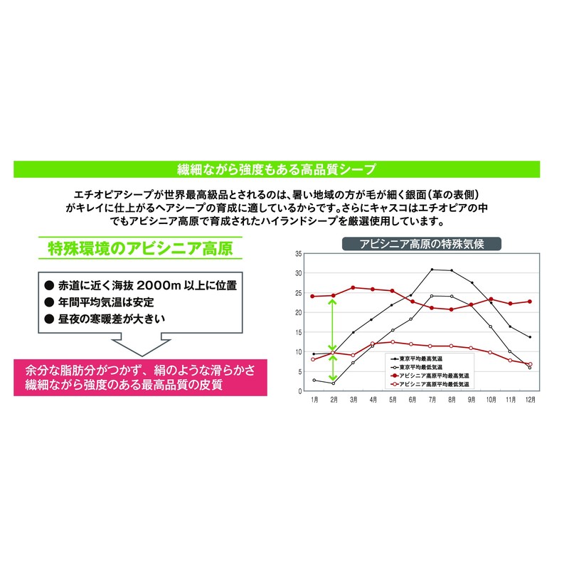 Kasco SILKY FIT Men's GF-17251 Silky Fit Regular Size Golf
