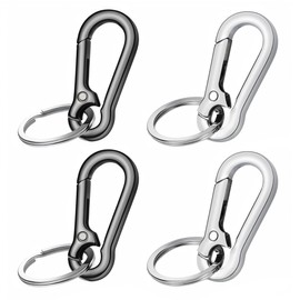 OUDQFCJ 4pcs Metal Key Chain Carabiner Key Chain Holder Removable Carabiner Hook Christmas Gifts for Men and Women