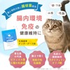 Cat Lactic Acid Bacteria Supplement, Intestinal Environment, Immune, Oral, Brushy,