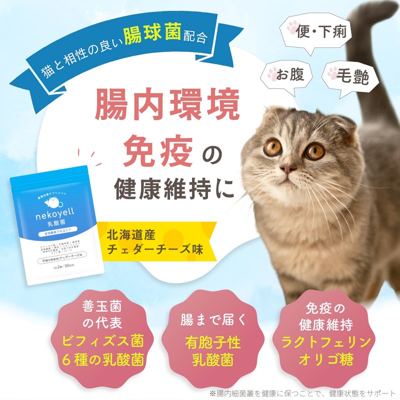 Cat Lactic Acid Bacteria Supplement, Intestinal Environment, Immune, Oral, Brushy,