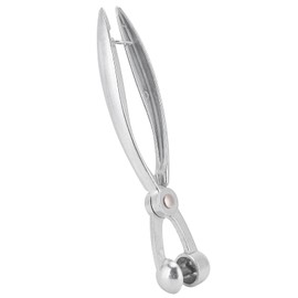 Fruit Cutter, Lightweight Aluminium Alloy Safe Practical Corer Durable Practical for Olive Seeds Cherry Red Dates