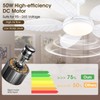 PHORUS 52" Palm Leaf Ceiling Fan with Lights, White Tropical