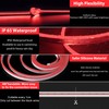 Lamomo LED Neon Lights, 16.4ft Red LED Strip Light, 12V