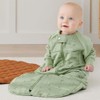 ErgoPouch Sleep Suit Bag 2.5 Tog - Willow, 2-4 Years