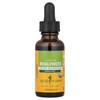 Herb Pharm Bugleweed 1 fl oz 30 ml Gluten-Free, Organic