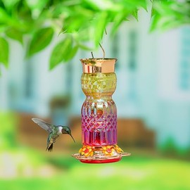 Evergreen Garden Iridescent Glass Hummingbird Feeder, 31 Ounces Hanging Bird Feeder Outdoors for Garden, Patio (Orange Ombre)