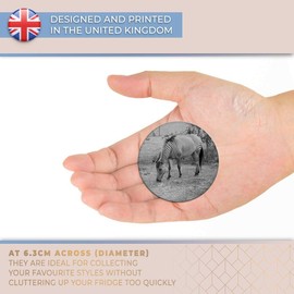 Destination Vinyl ltd Magnet for Refrigerator, Fridge BW - Zebroid Horse Zebra Pony Cute for Office, Cabinet and Whiteboard, Magnetic Stickers, 38256