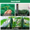 Trellis Netting for Climbing Plants, 6.6x9.85 FT Heavy Duty Garden