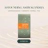 Luxmi Estates - Astounding Ashwagandha - Organic Ashwagandha Tea -