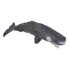 Realistic Sperm Whale Replica Simulated Marine Animal Model Educational Collector