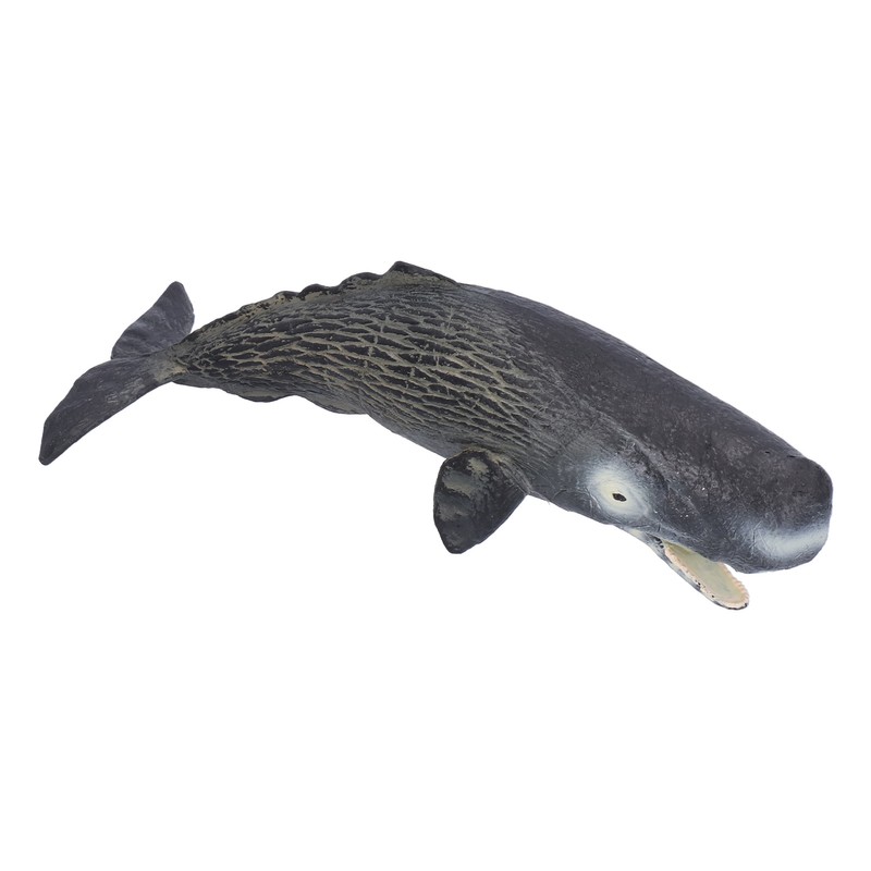 Realistic Sperm Whale Replica Simulated Marine Animal Model Educational Collector