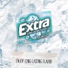 Extra Polar Ice Sugar Free Chewing Gum Bulk Pack 15