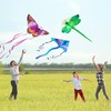 3 Pack Large Kites - Butterfly Delta Dragonfly Kites Easy