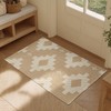 MatEssenz Door Mat Indoor 2x3 ft Rug, Boho Small Area