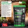Stinging Nettle Root | 30 Capsules Vegan - 24:1 Extract