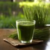 Nutritionn Organic Wheatgrass Juice Powder by Nutritionn - 100% Pure