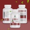Acerola Extract 500 mg 60 Capsules - Pure Natural Vitamin