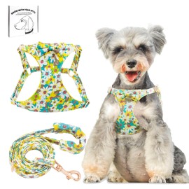 Dote on No Pull Dog Harness and Lead Set, Soft Adjustable Puppy Cat Harness, Floral/Plaid Escape Proof Pet Vest Harness for Extra Small/Small Medium Dogs, Yellow Flower, M