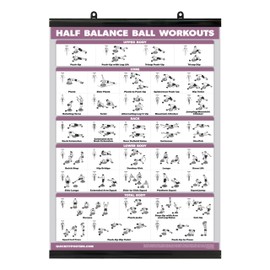 Palace Learning Half Balance Ball Workout Poster - Exercise Chart (LAMINATED WITH PLASTIC FRAME, 18" x 24")