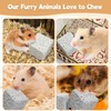 Hamiledyi 12 PCS Chinchilla Chew Toys Lava Blocks Hamster Chew