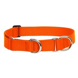LupinePet Basics 1" Blaze Orange 19-27" Martingale Collar for Large Dogs