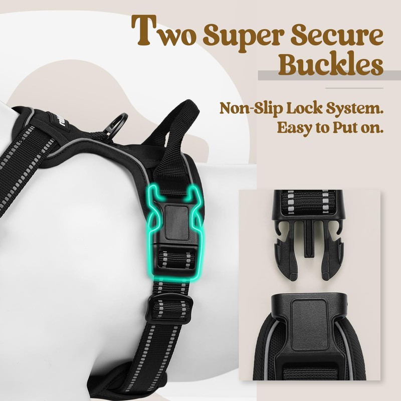 rabbitgoo Dog Harness No Pull with 2 Leash Clips, Adjustable