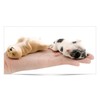 Nekogamiyama Shiba Inu Shiba Dog Wanko Belly-Up Miniature Figurine Statue