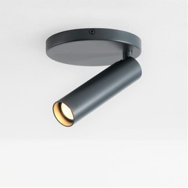 VidaLite Modern LED Surface Pinhole Monopoint Sconce, 180° Rotatable Flush Mount Spot Light Head Dimmable 3000K 600 Lumens, Silver