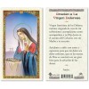 Oracion a La Virgen Dolorosa Tarjetas Laminadas Laminated Prayer Cards - 25Pcs