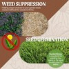 HealthiStraw GardenStraw, 3 cu ft (20 lbs) All-Natural Mulch for