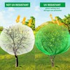 Fanfanwin 2 Packs 10 x 10 ft Large Fruit Tree