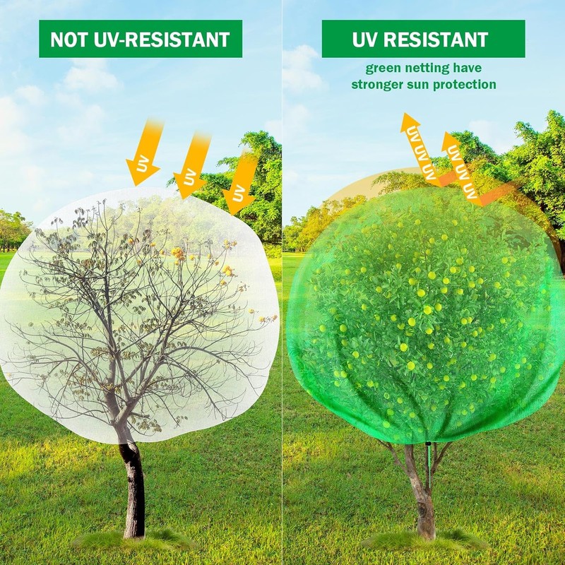 Fanfanwin 2 Packs 10 x 10 ft Large Fruit Tree