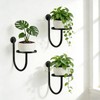 Wall Planters for Indoor Plants, 3 Pack Wall Mounted Plant