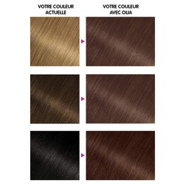 GARNIER Olia Coloration for Cheveux n° 5.35 Brown