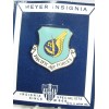 USAF Air Force Pacific PACAF Security Police SP Beret Crest