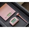 Taylor Pro 3-Piece Kitchen Measuring Set with Hygienic Digital Scales,