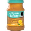 McCormick Balance Conserva de Mango 235 g