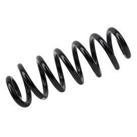 GM Parts 84312880 Rear Coil Spring