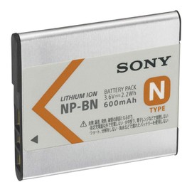 Sony Rechargeable Batt PK