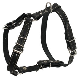 Real Leather Dog Walking Harness Medium Black, 21" - 26" Chest