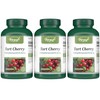 VORST Tart Cherry 10,000mg Raw Equivalent Per Serving | 3