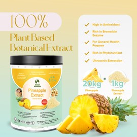 Pineapple Extract Powder 20:1, Rich in Bromelain for Digestion, Immune & Joint Support, Natural Tropical Flavor for Smoothies, Baking, No Sugar Added, Vegan, Gluten-Free & Non GMO (200g)