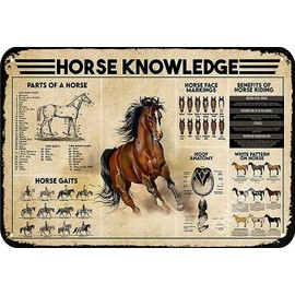 Horse Knowledge Metal Tin Sign,Benefits Of Horse Riding,Restaurant Cafe Retro Plaque Racecourse Posters Bar Outdoor Sign Room Decoration Gift 8X12 Inch